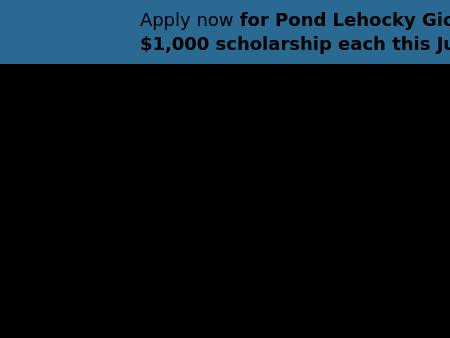 Pond Lehocky Stern Giordano